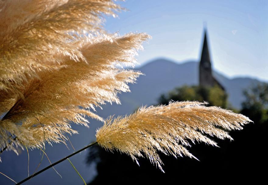 Tollhof Villa Bolzano Dış mekan fotoğraf