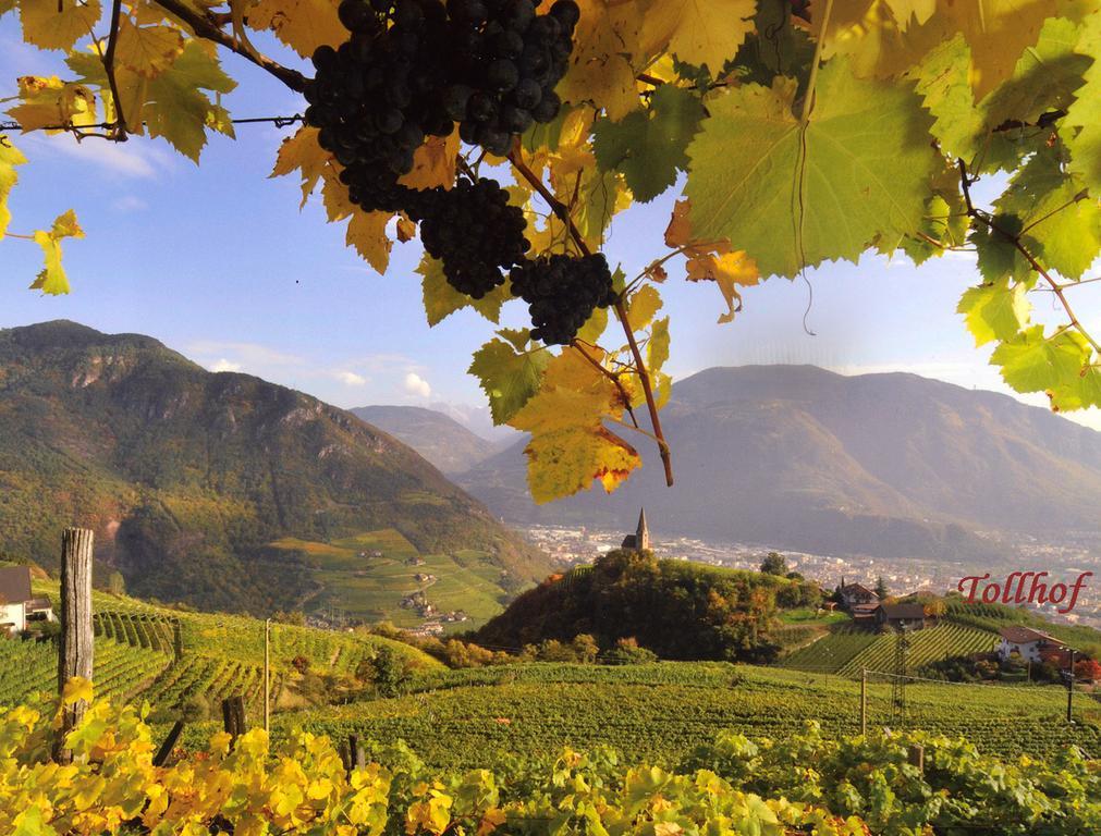 Tollhof Villa Bolzano Dış mekan fotoğraf
